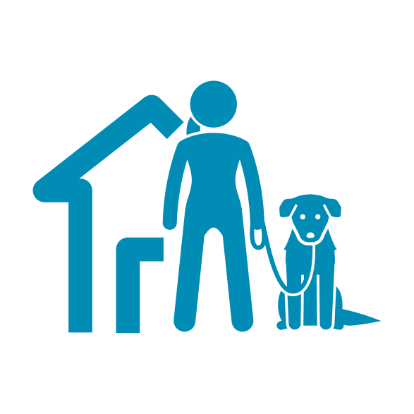 Hundtraining zu Hause