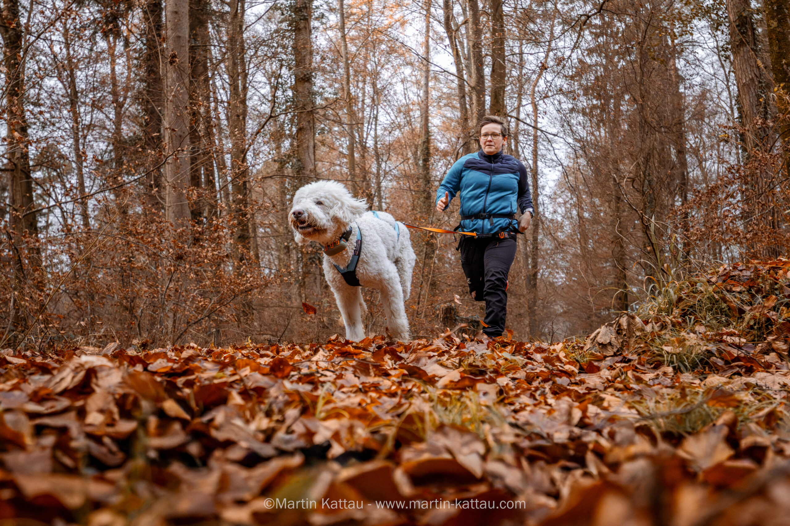 CaniCross - Frau mit Hund